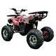 atv electric